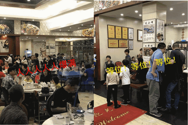 求组队!发现佛山首家营业到深夜12点的吃蛇专门店,现在还有免费送!