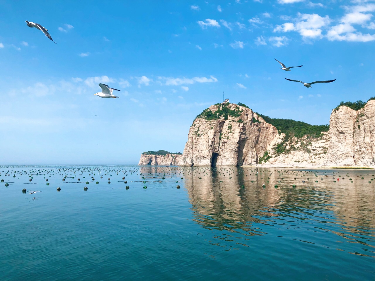 白玉山景区 旅顺潜艇博物馆 旅顺军港 日俄监狱旧址博物馆一日游