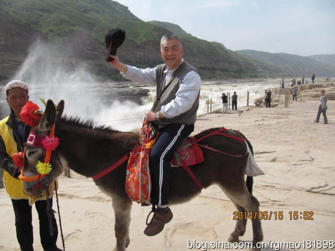 黄河之滨骑毛驴