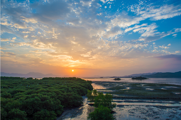 2019盐洲岛_旅游攻略_门票_地址_游记点评,惠东旅游景点推荐 去哪儿