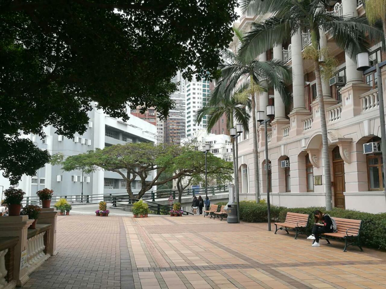 香港大学