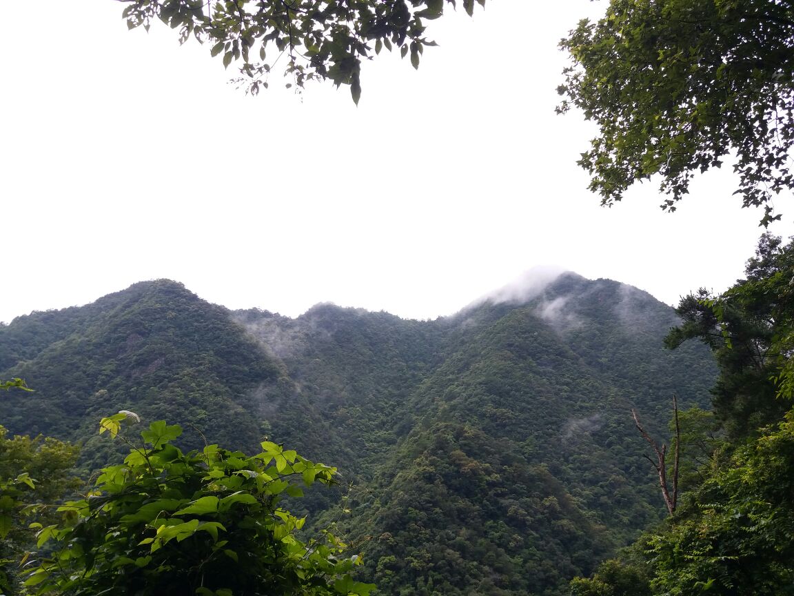 十万大山国家森林公园