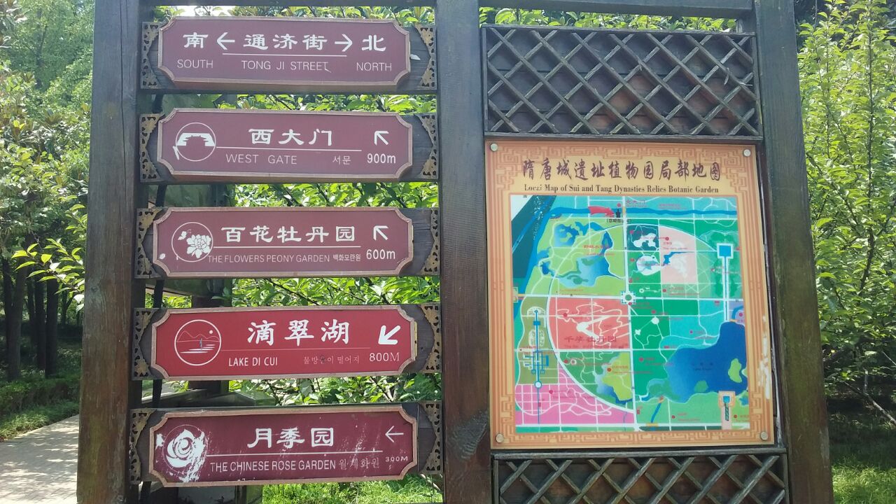 隋唐城遗址植物园