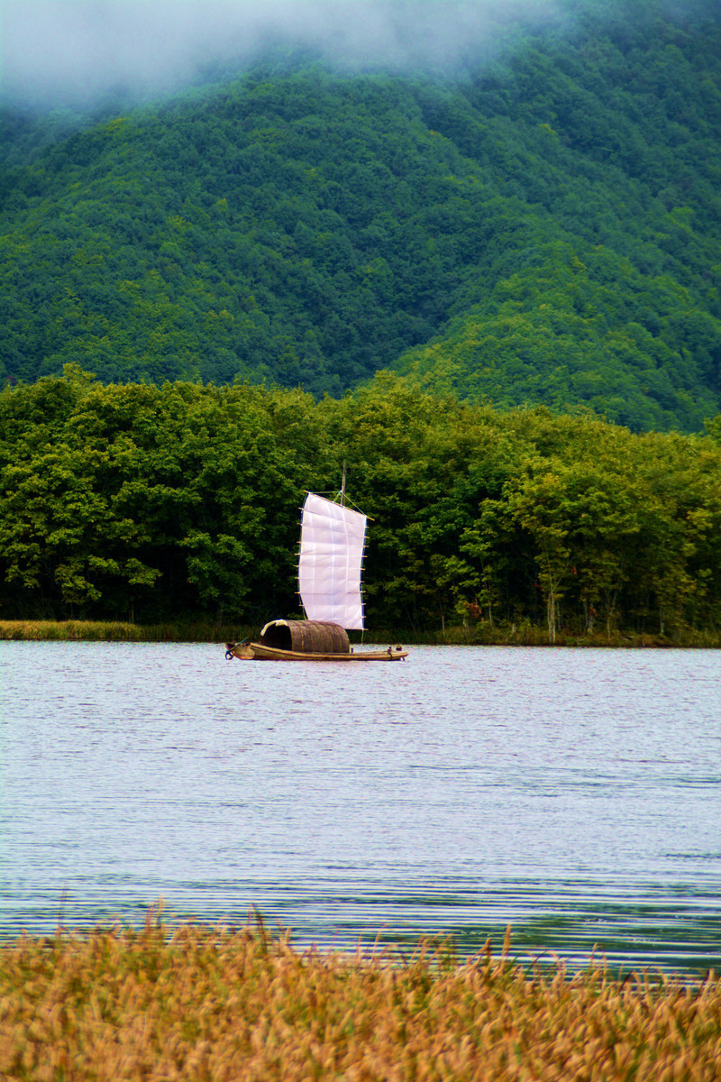 我去湖北大九湖国家湿地公园