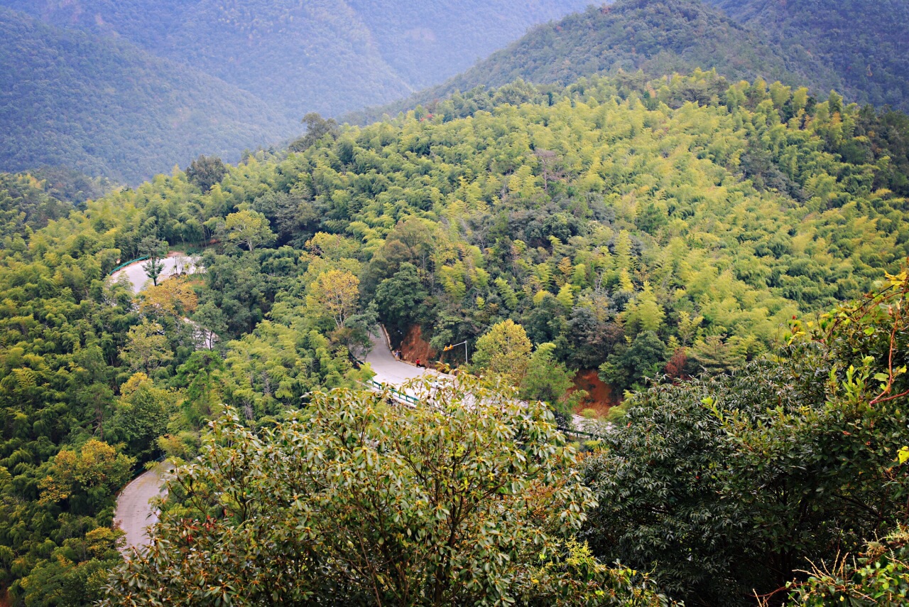 莫干山景区