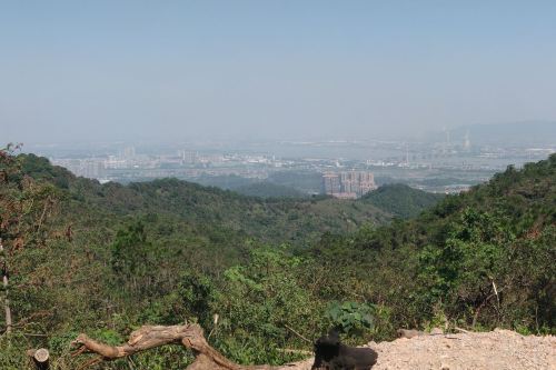 鹤山市古劳茶山松峰轩   分
