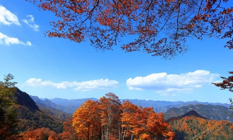 光雾山