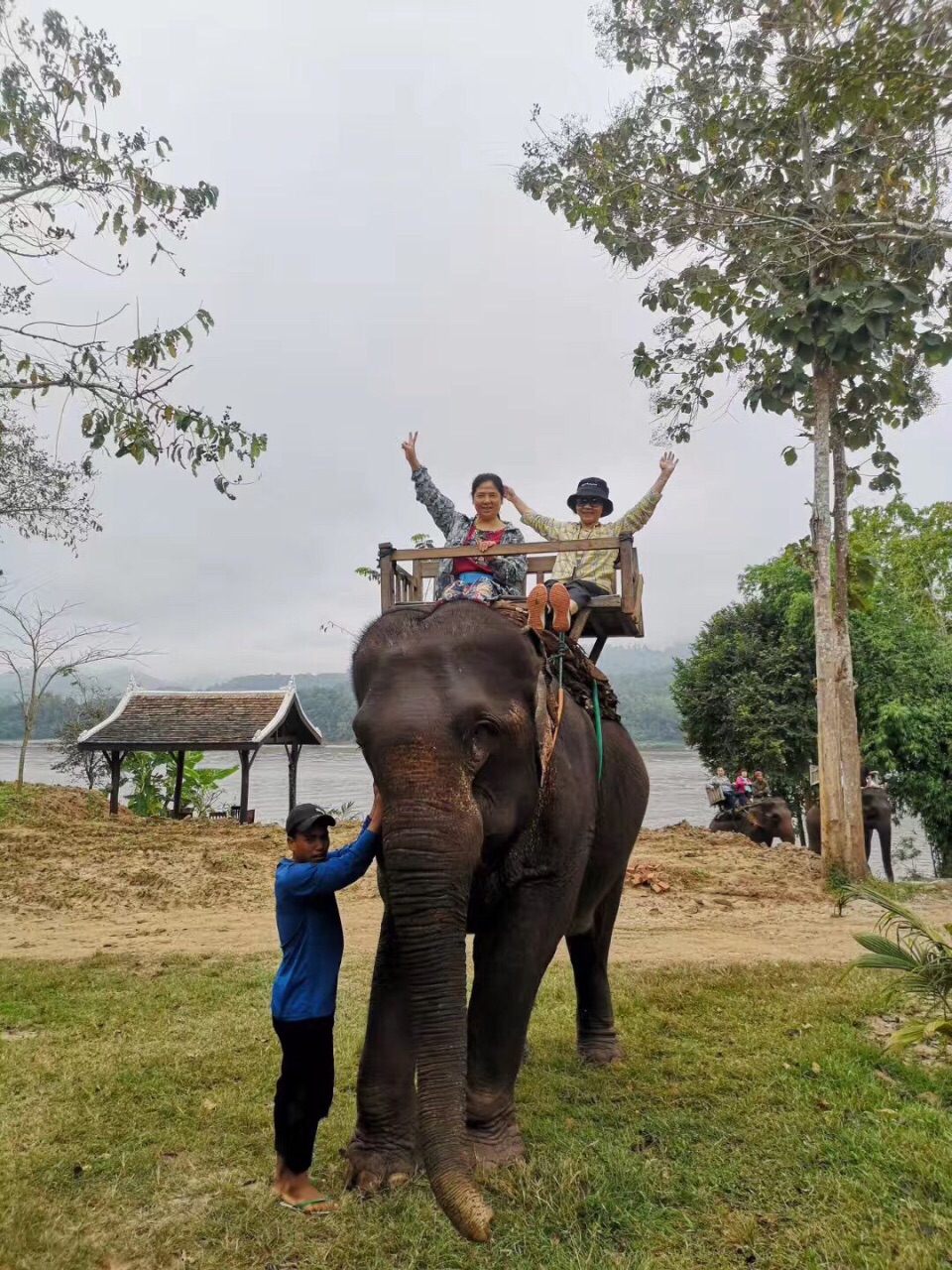 全老挝大象营all lao elephant camp