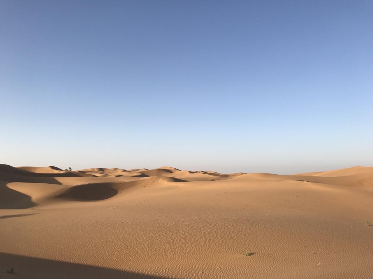 沙坡头旅游景点攻略图