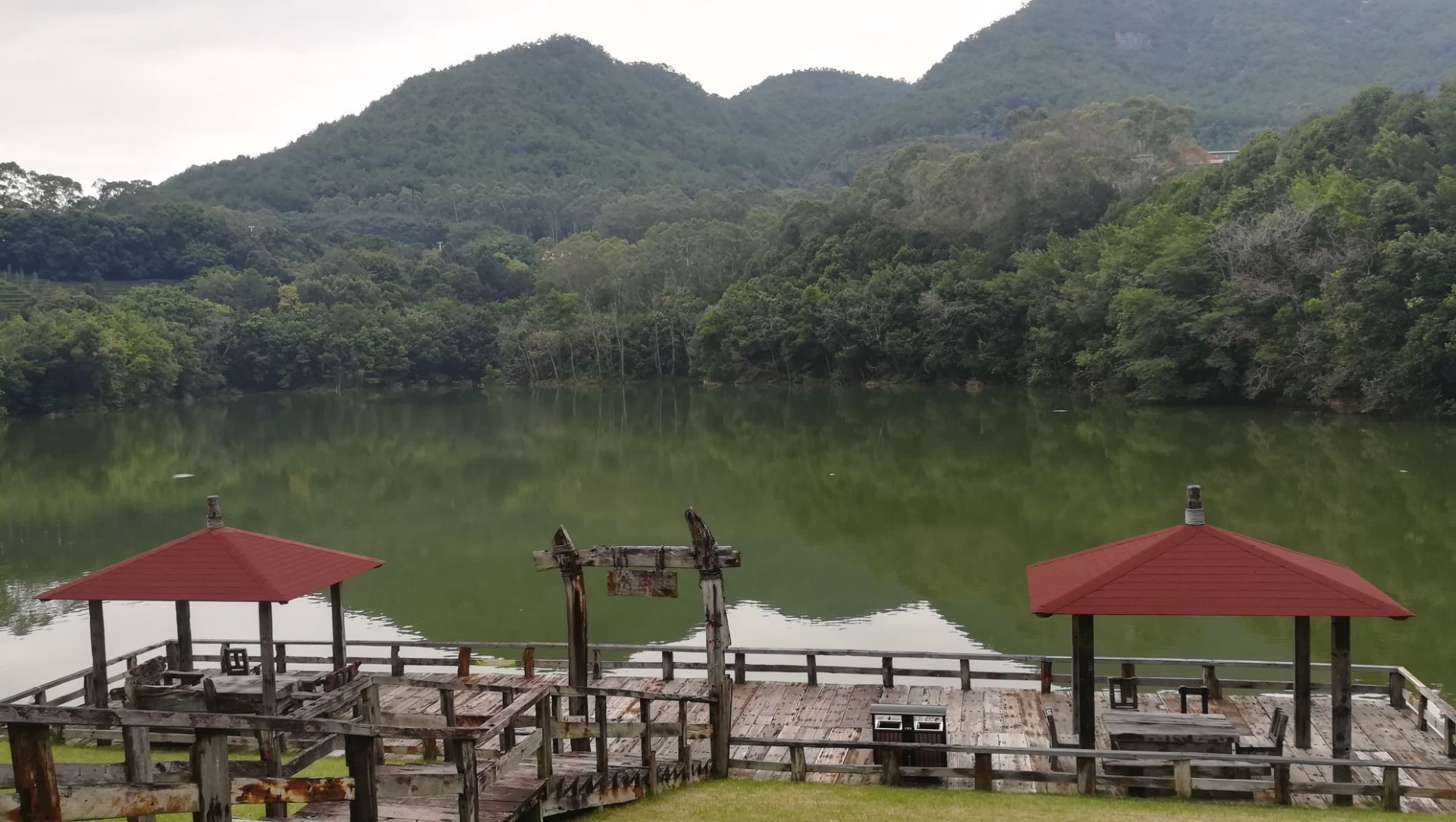 雁南飞茶田景区
