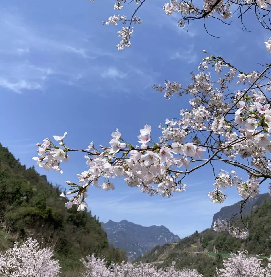 兴山高岚风景区好玩吗,兴山高岚风景区景点怎么样_点评_评价【携程