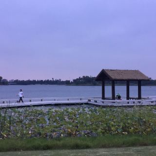 凤凰湖