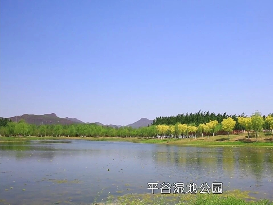 平谷城北湿地公园