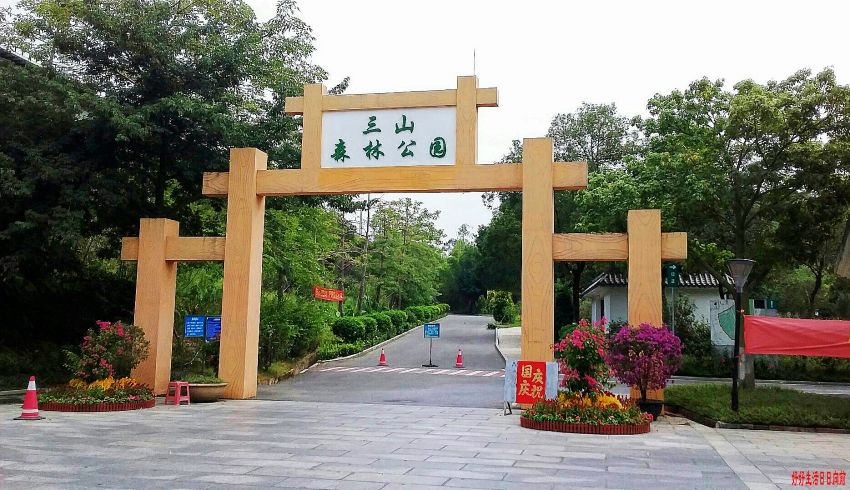 三山森林公园位于佛山南海桂城,是一个面积不大的郊野公园.