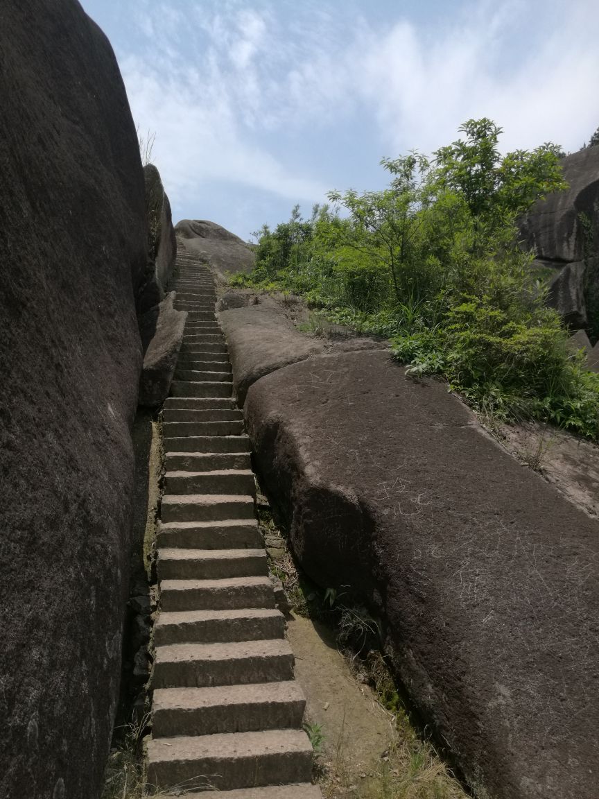 温州玉苍山森林公园攻略,温州玉苍山森林公园门票