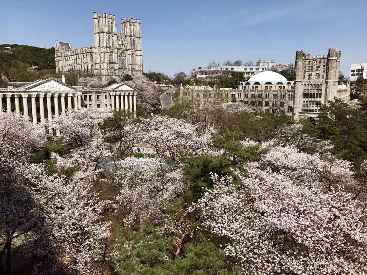 庆熙大学葱饼胡同