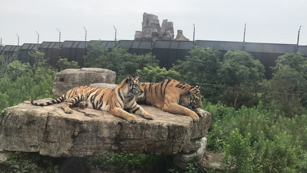 上海野生动物园