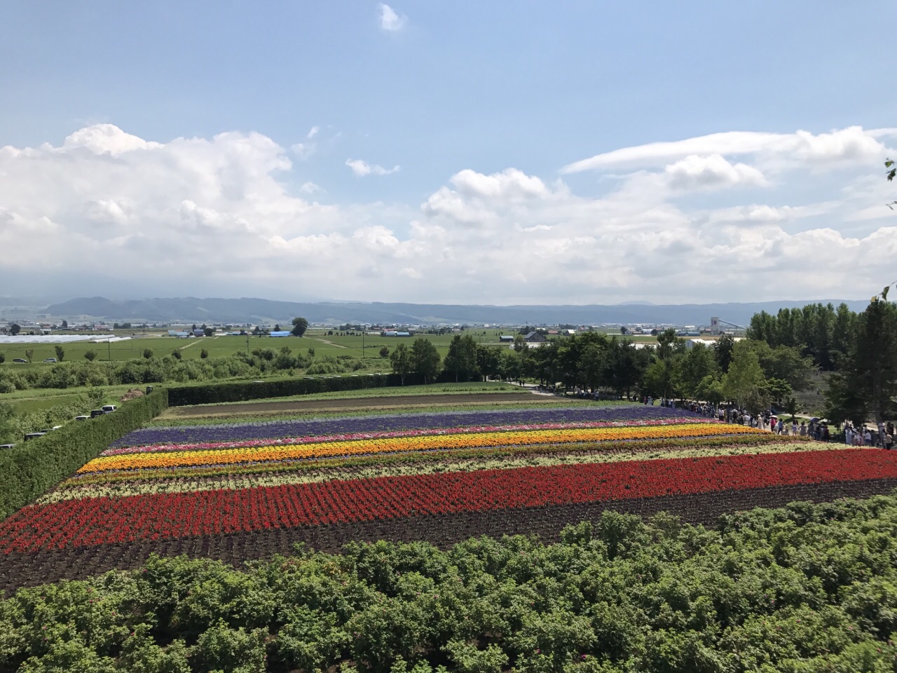 2019富田农场-旅游攻略-门票-地址-问答-游记点评,富良野旅游旅游景点