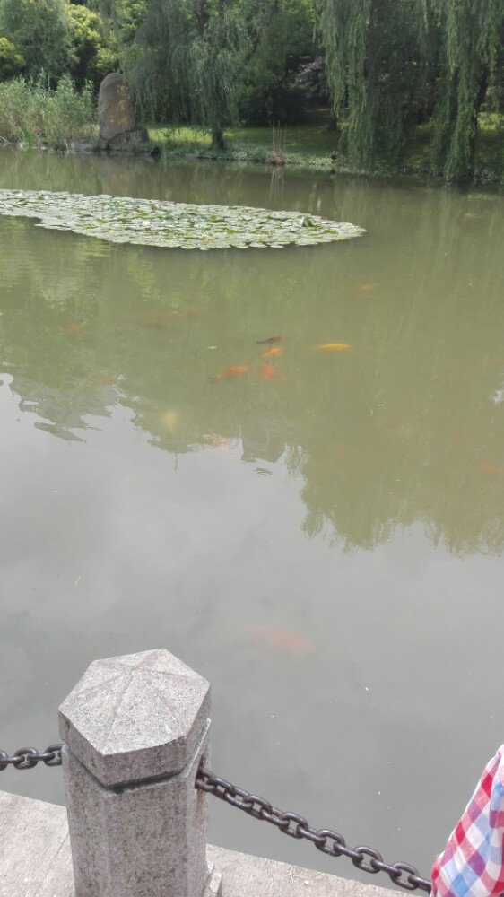 上海南站到徐家汇公园坐地铁几号线,什么站下