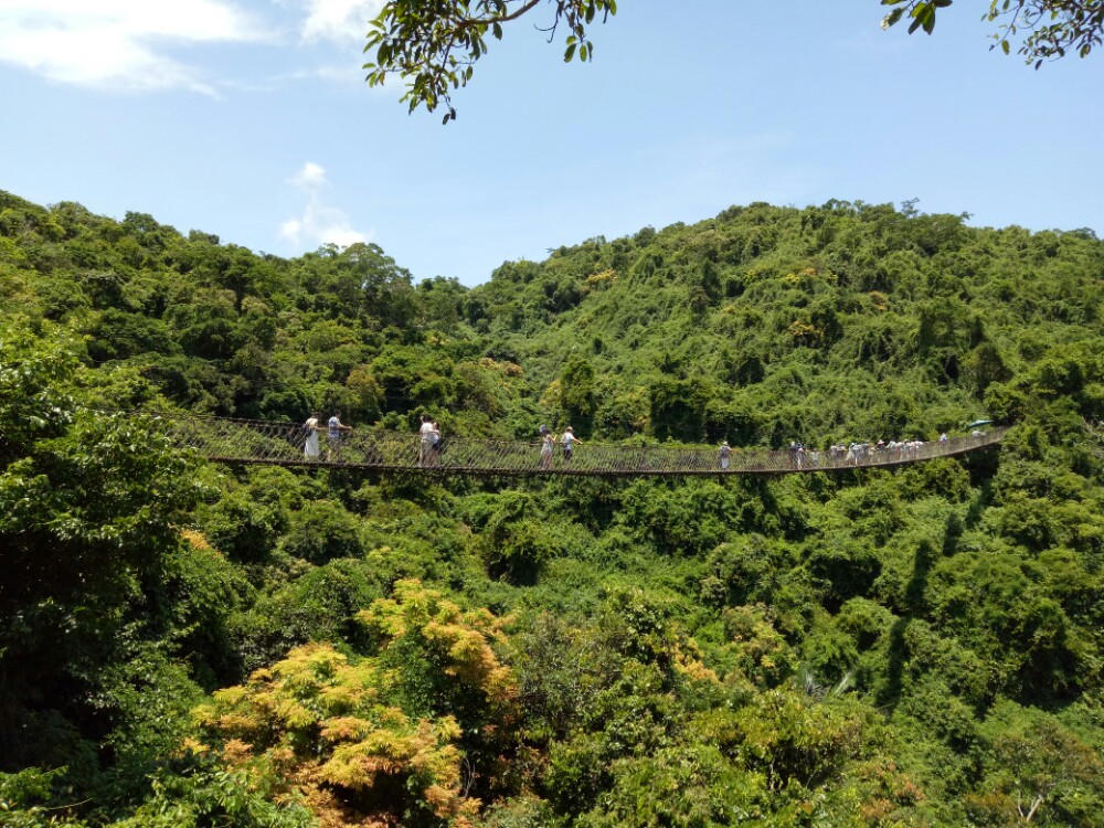 亚龙湾热带天堂森林公园