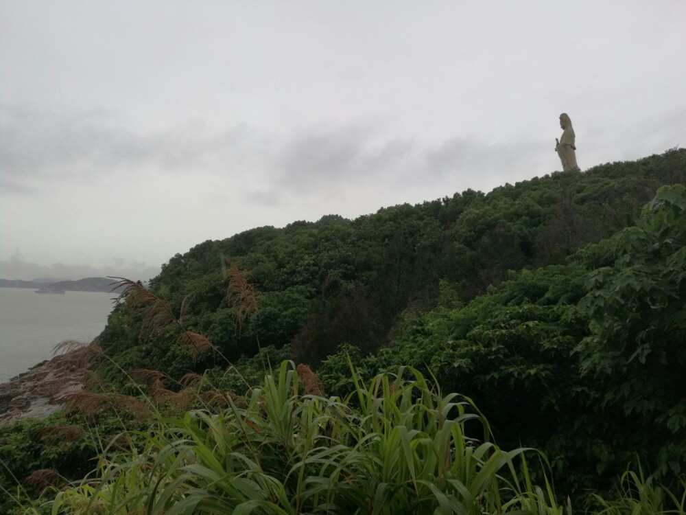 紫竹林