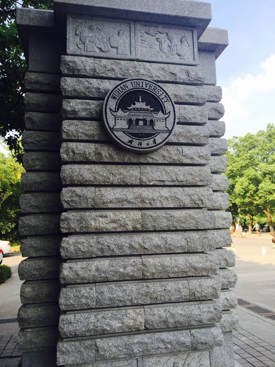 武汉大学王者荣耀排位大全攻略图片