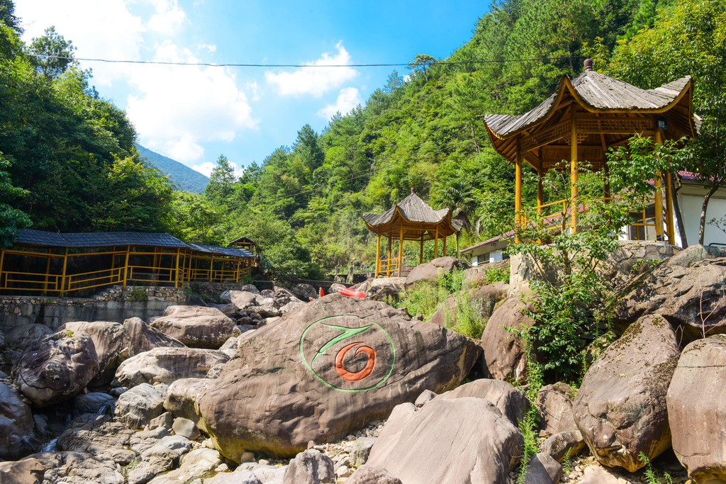 探幽天目山,感受大自然的馈赠 - 天目山游记攻略