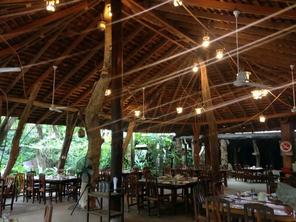 绿光森林餐厅
