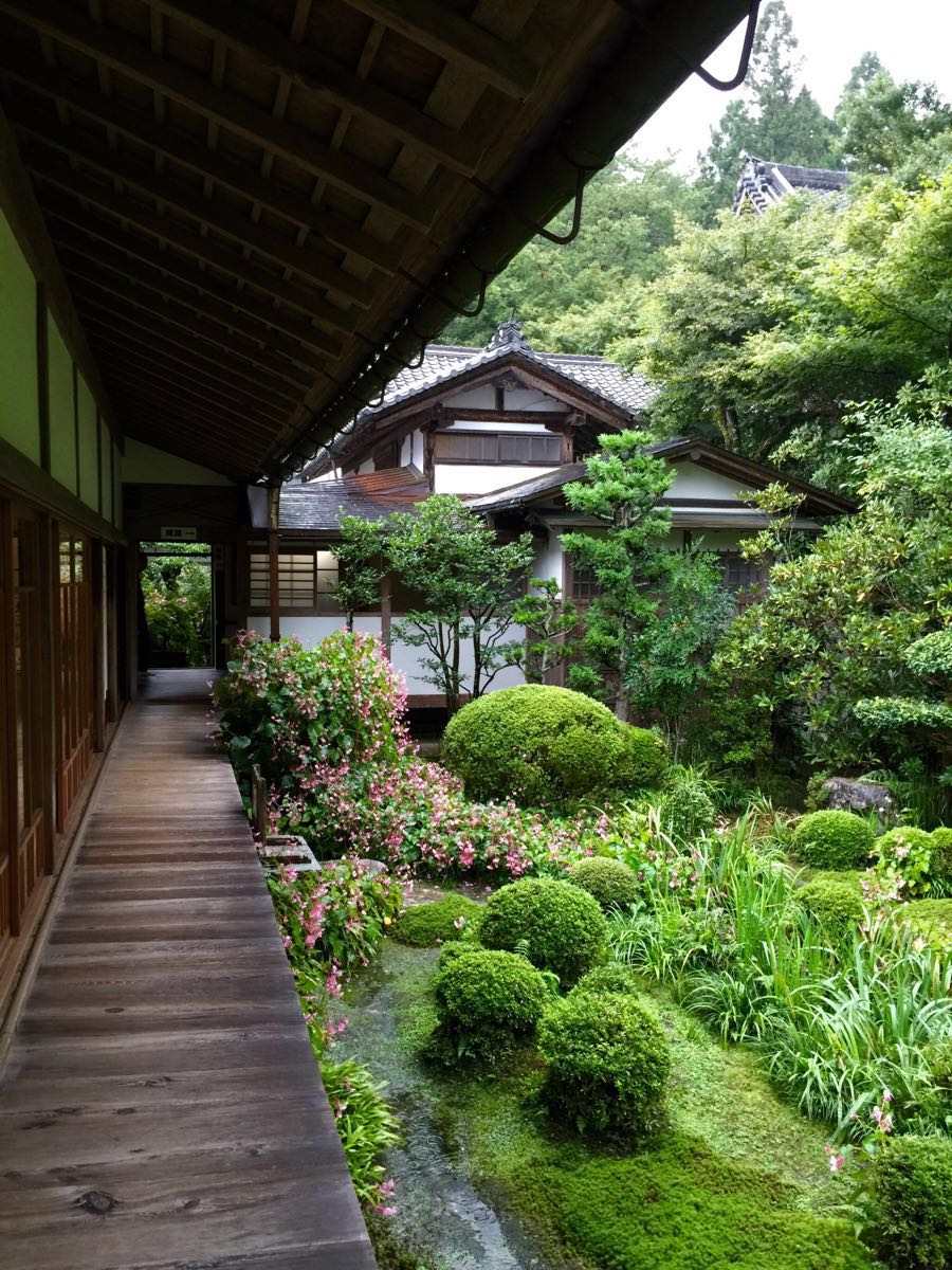 2019三千院_旅游攻略_门票_地址_游记点评,京都旅游