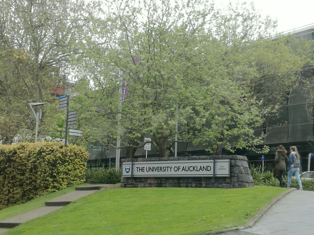 奥克兰大学