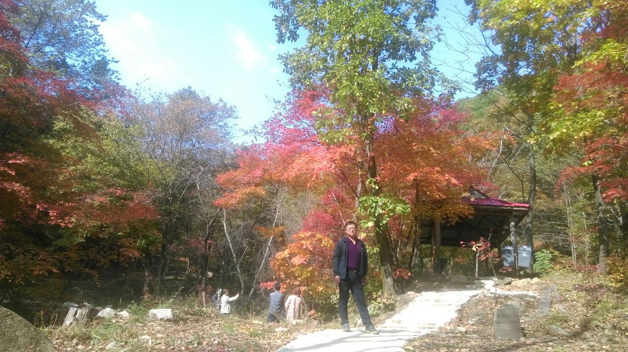 本溪关门山森林大峡谷好玩吗,本溪关门山森林大峡谷样