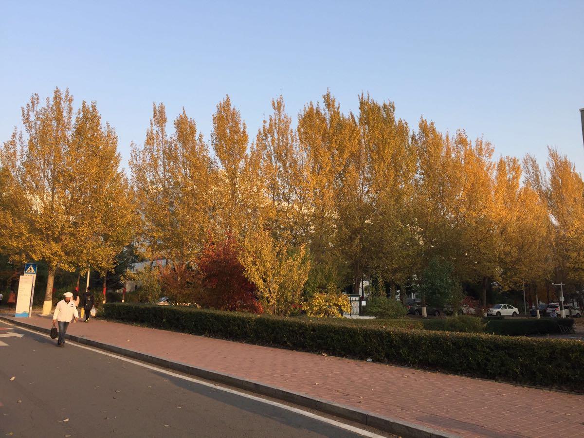 吉林大学