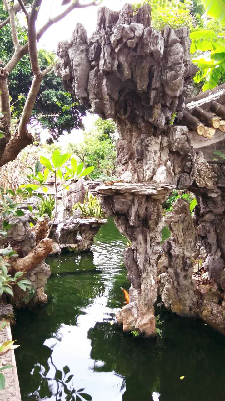 秋天的清晖园有点萧瑟,虽然岭南还是短袖的天气,但看不到满池的荷塘