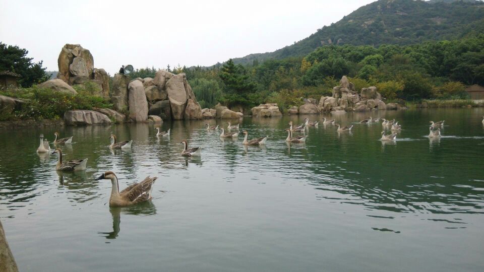 苏州白马涧龙池景区好玩吗,苏州白马涧龙池景区景点样