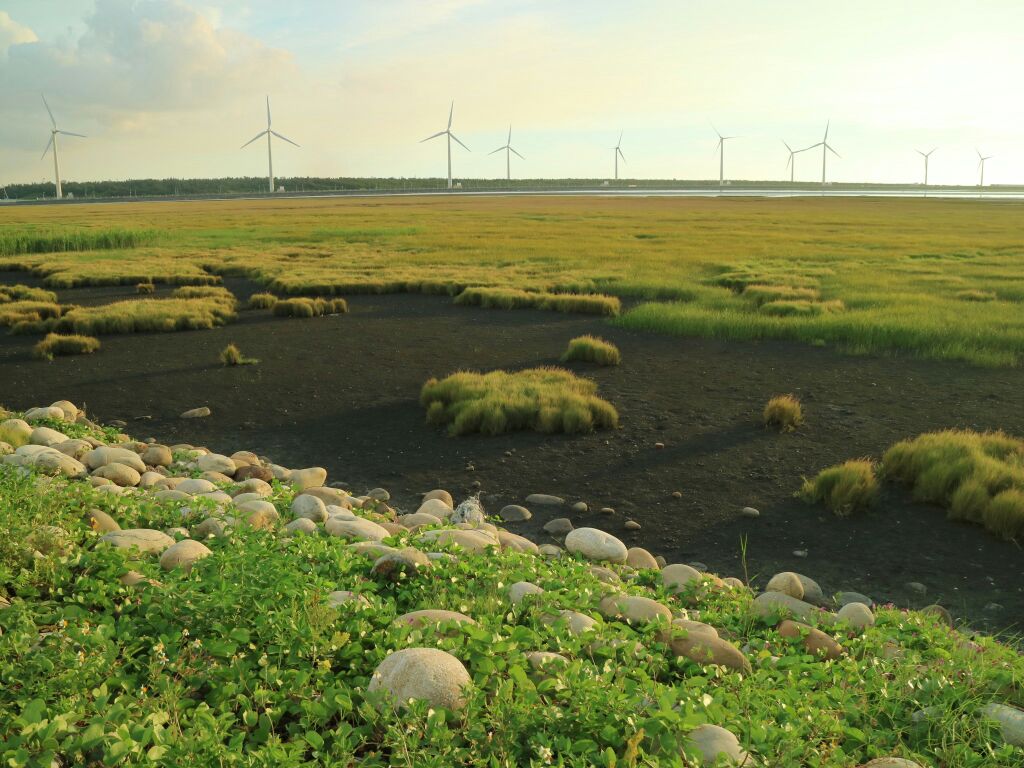 【携程攻略】台中高美湿地景点,高美湿地是台中海边的一片湿地浅滩,离