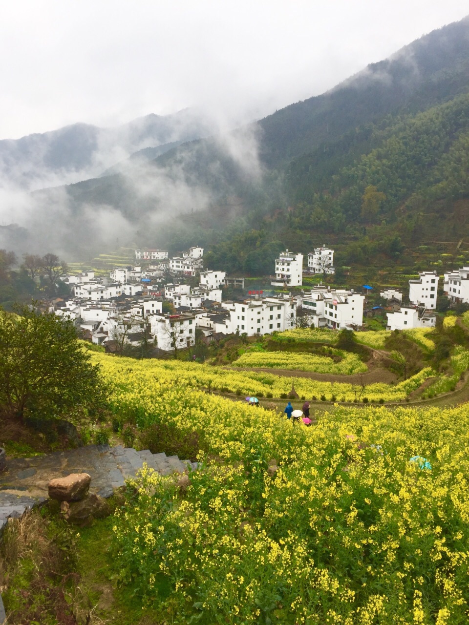 婺源江岭景区好玩吗,婺源江岭景区景点怎么样_点评