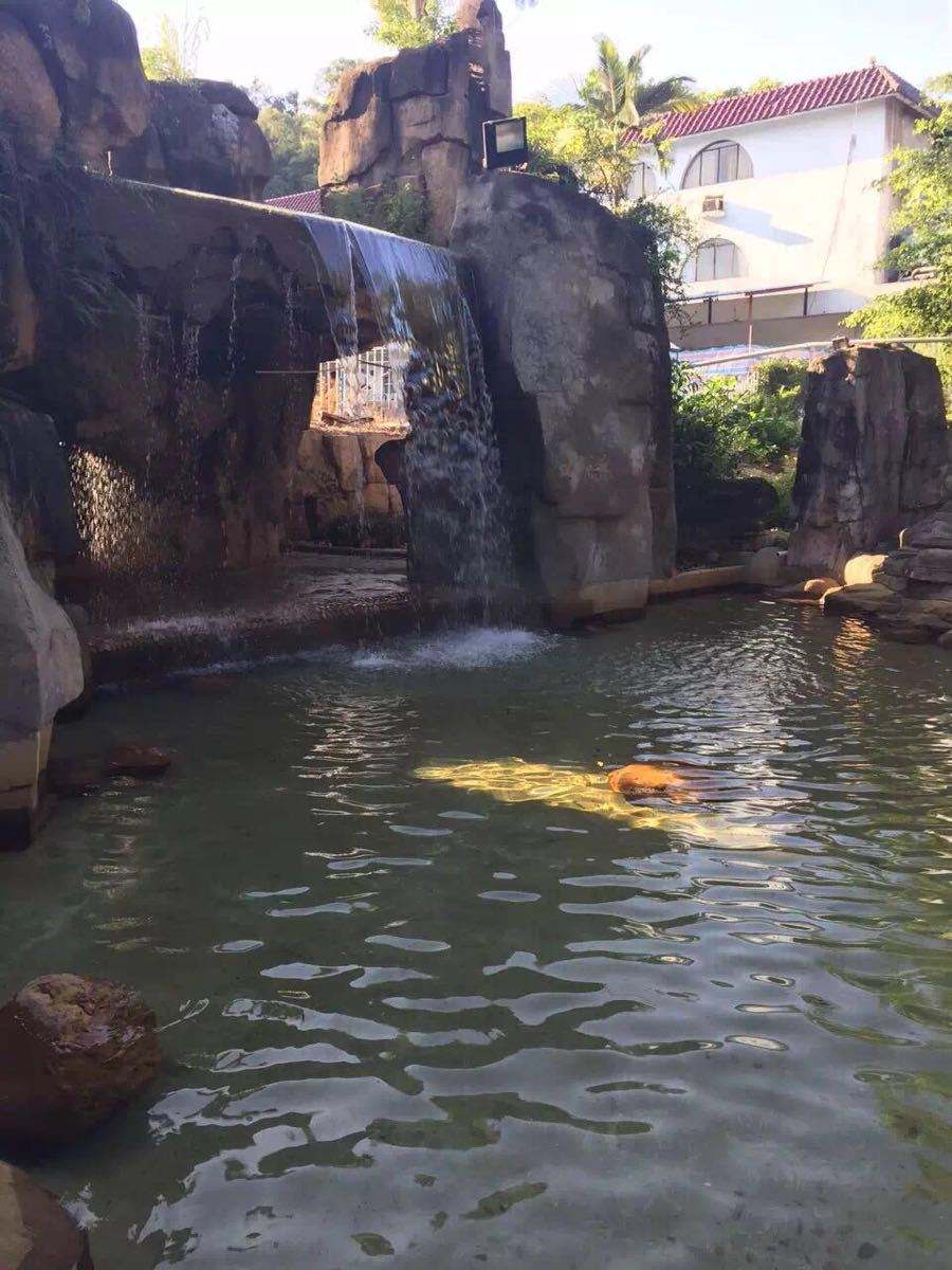 深圳石岩湖温泉度假村好玩吗,深圳石岩湖温泉度假村样