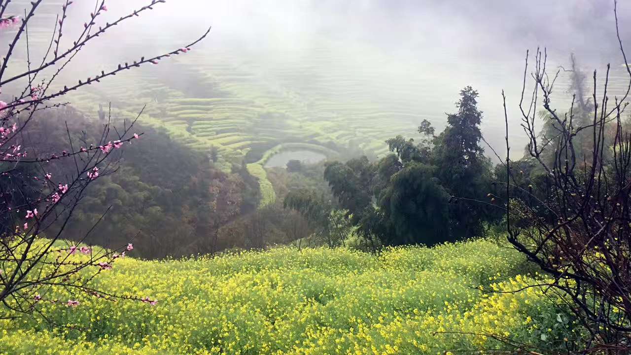 江岭景区