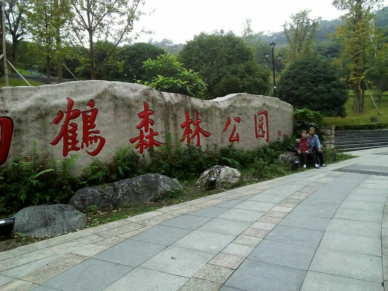 白鹤森林公园