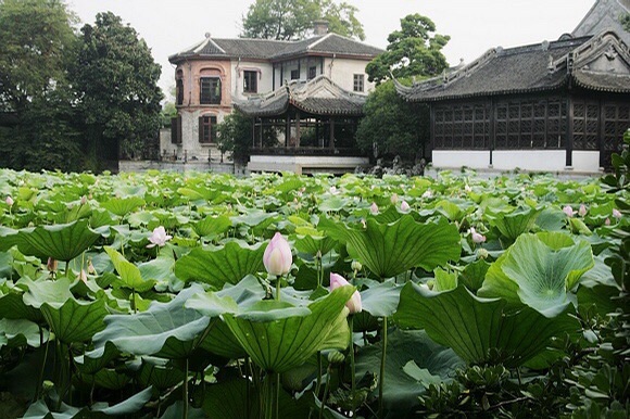 【携程攻略】南浔古镇小莲庄景点,浙江省湖州市南浔镇