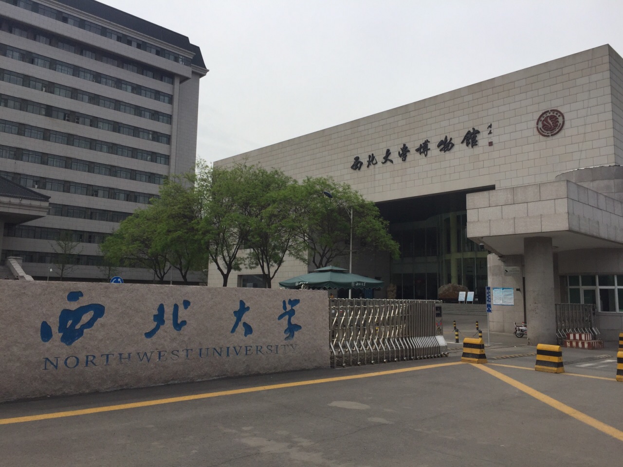 西北大学