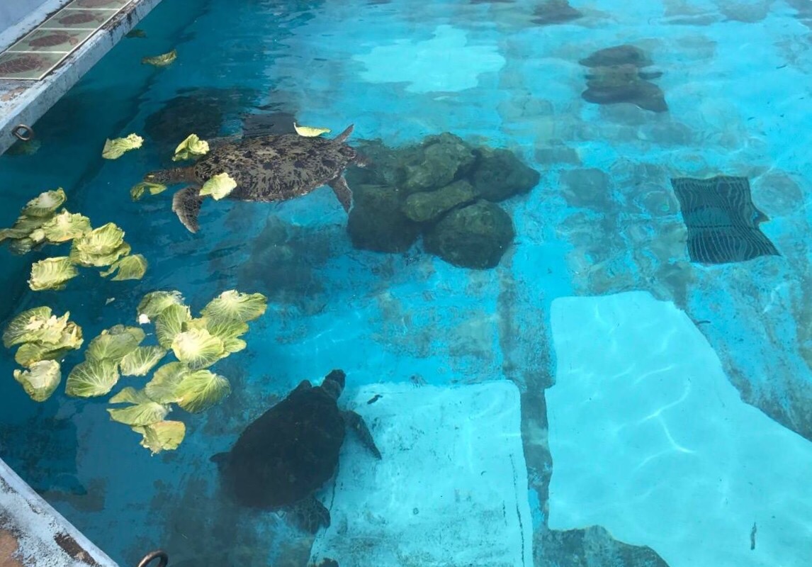 海洋博公园ocean expo park