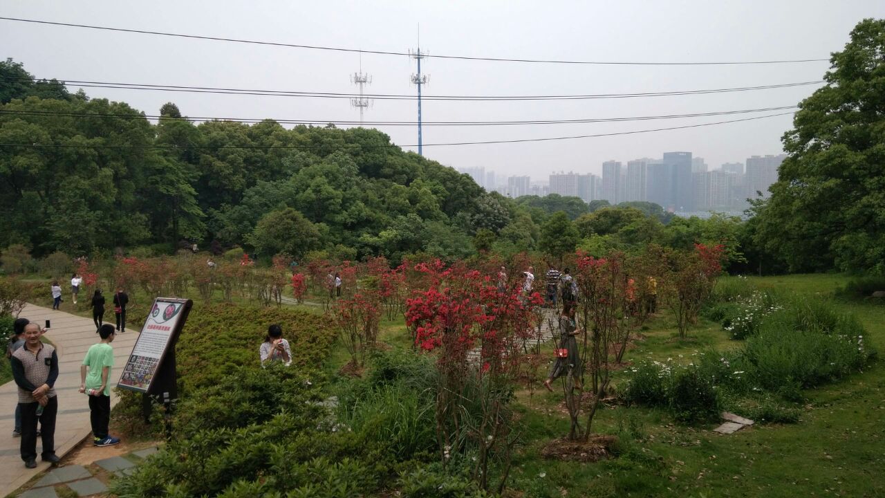 长沙湖南省森林植物园好玩吗,长沙湖南省森林植物园样