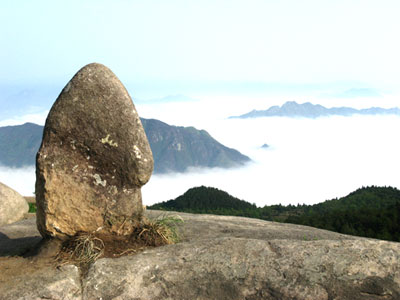 温州玉苍山森林公园攻略,温州玉苍山森林公园门票