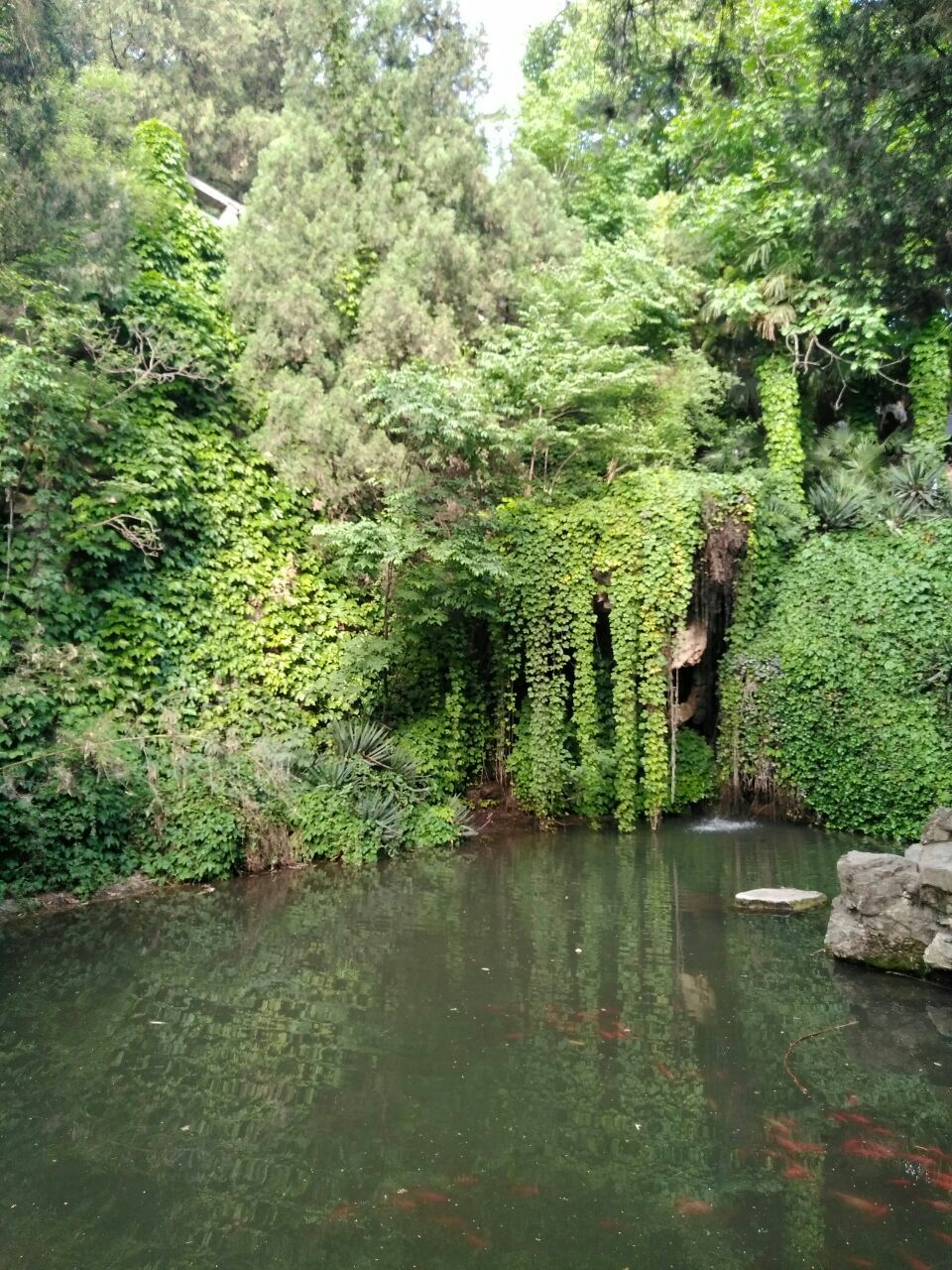 白园旅游景点攻略图