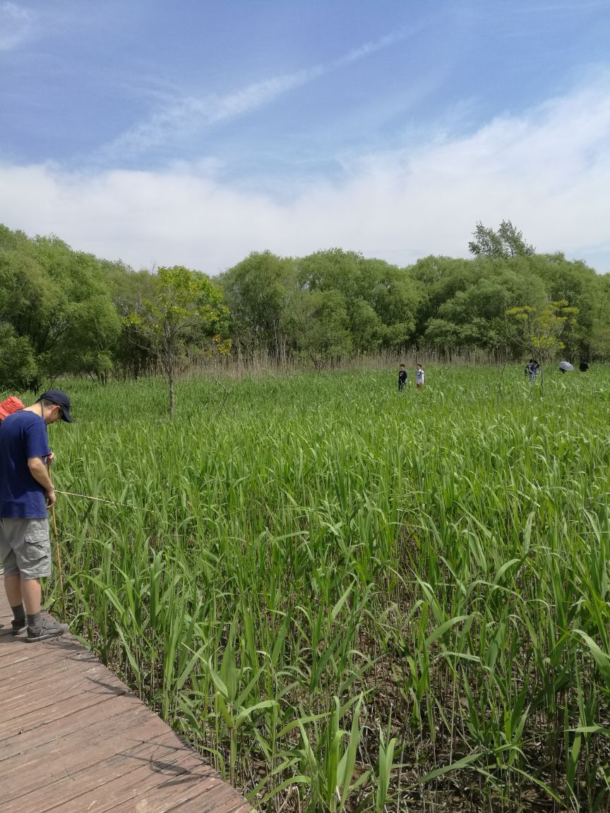 西沙湿地公园