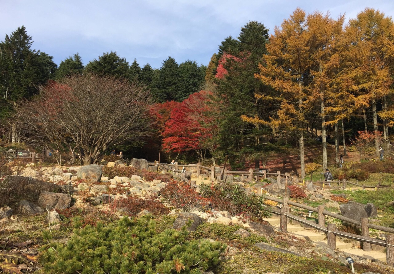 六甲高山植物园