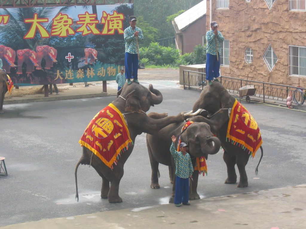 大连森林动物园