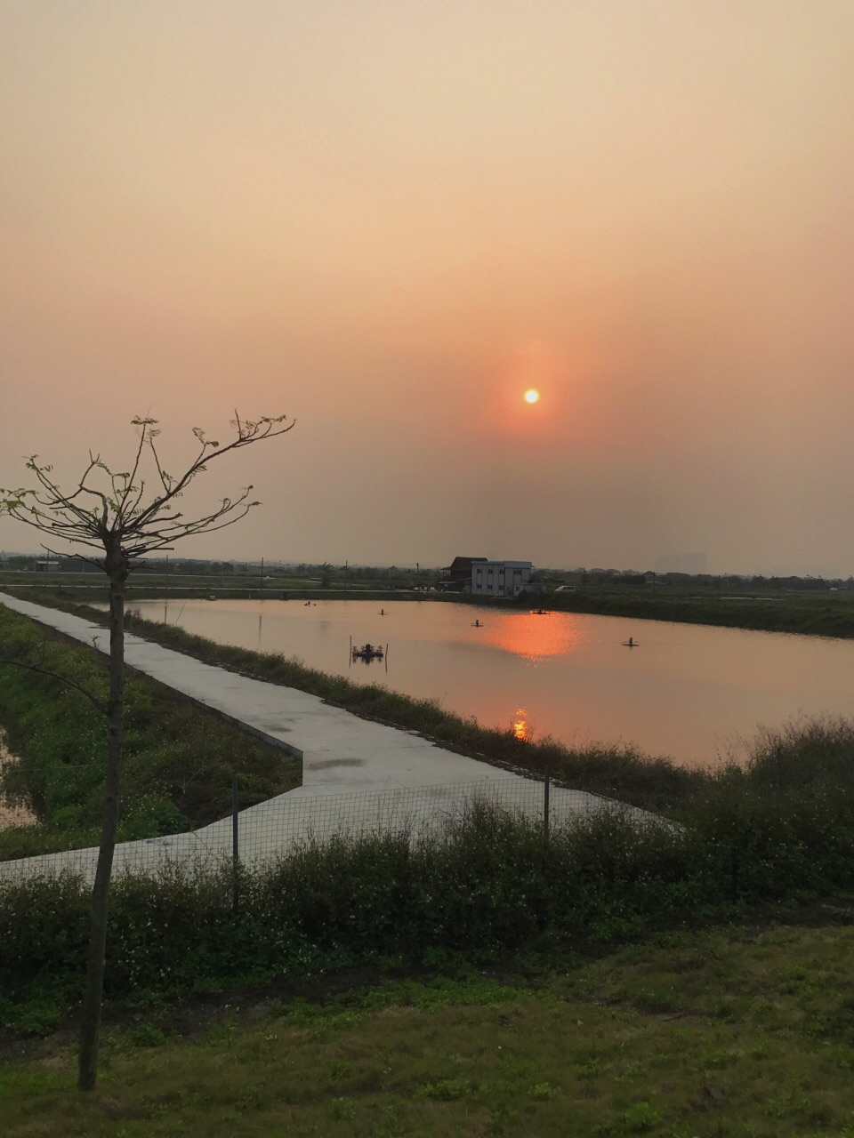 海鸥岛