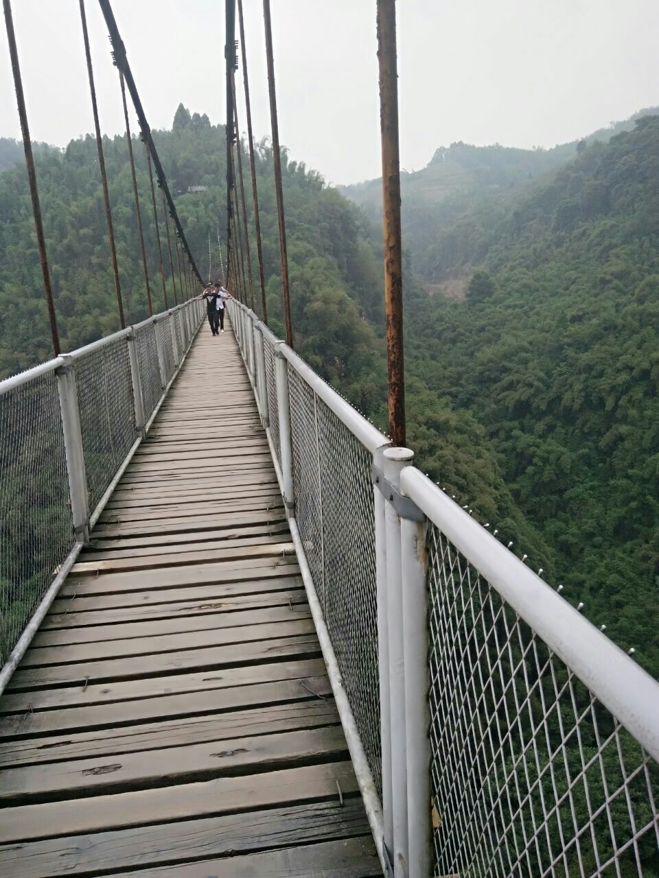 川西竹海峡谷景区(金鸡谷)